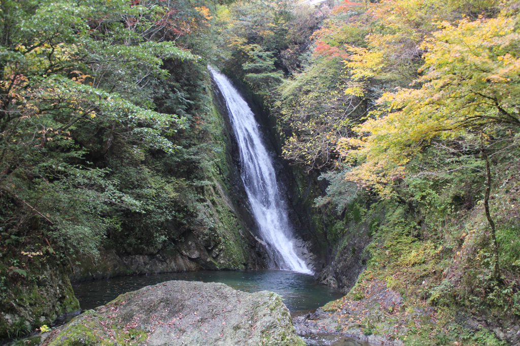 鶏鳴滝