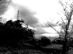 IMG_1687