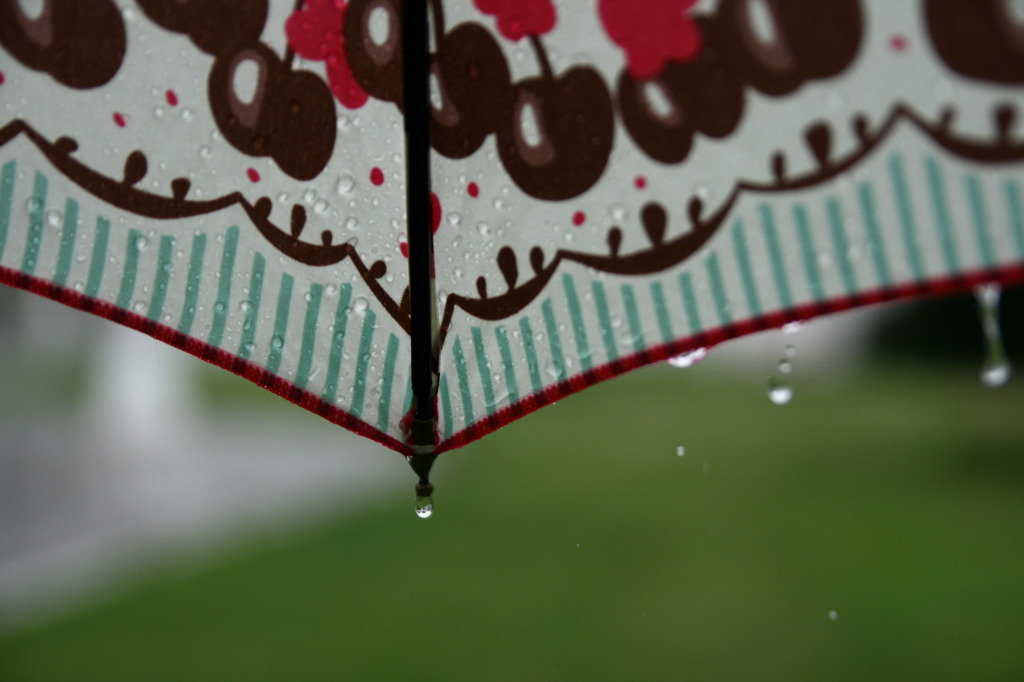 雨の日も楽しく