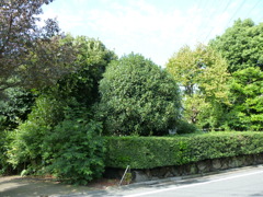 P1000896