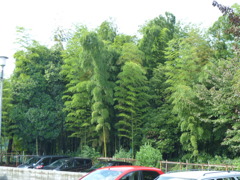 P1000897