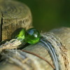 GREEN -森-