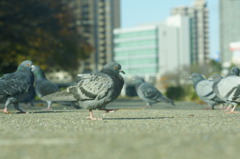 一歩