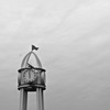 silence  clock