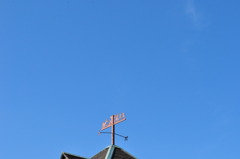 NS