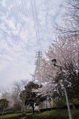 天高く