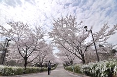 カメラ女子？いや女子じゃない