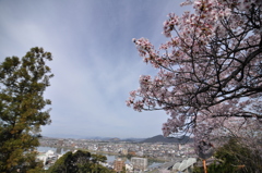 成田山から各務原