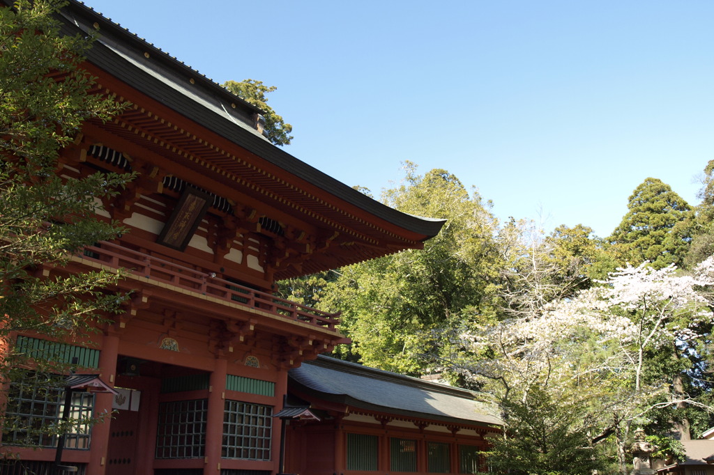 春の鳥居