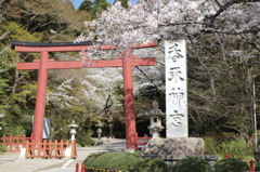 桜と鳥居