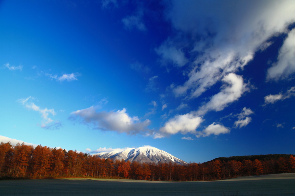 2013' 限りなく透明に近いブルー last