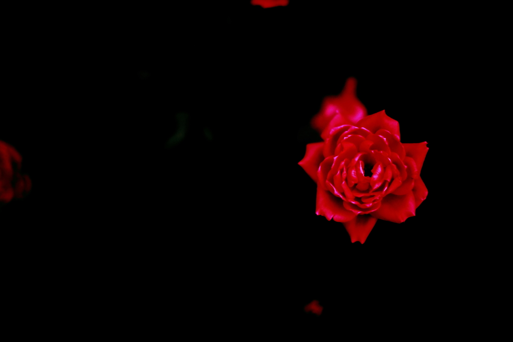2013' 愛をこめて花束を vol.3