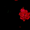 2013' 愛をこめて花束を vol.3