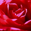 2013' 愛をこめて花束を vol.5