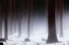 寂然の森 vol.2