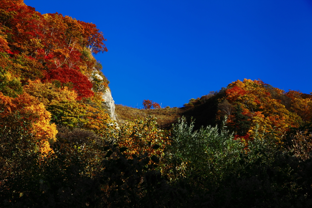 2012'紅葉見に行こうよう!! vol.4