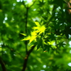 新しい季節の中で