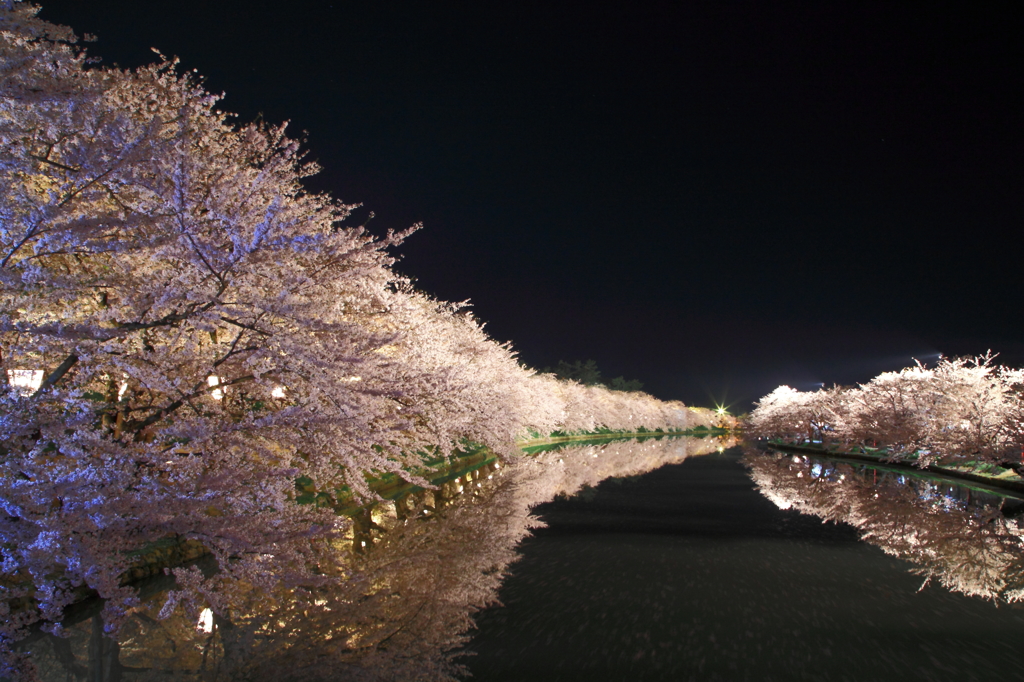 2015' 夜桜お七 3