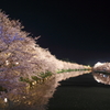 2015' 夜桜お七 3