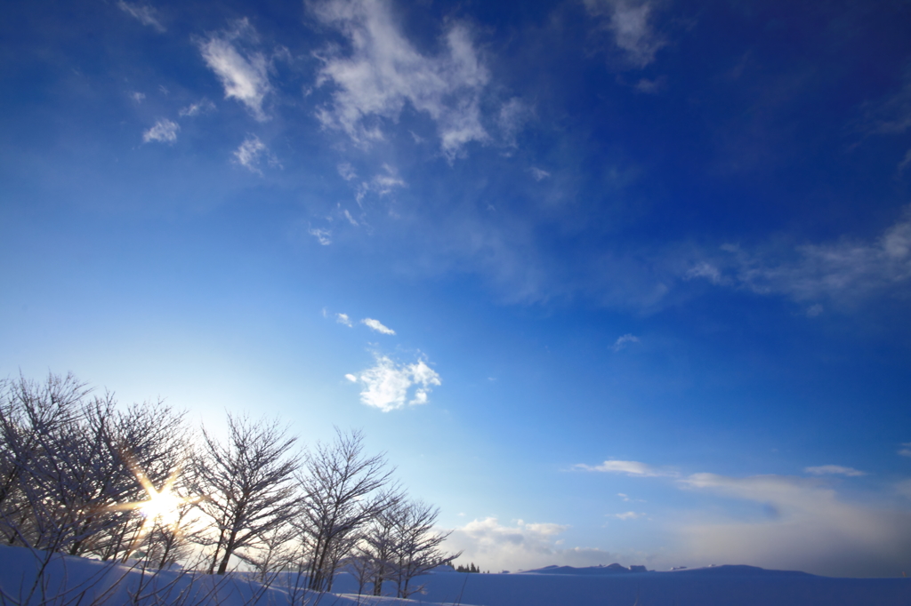 雪白の月 vol.1