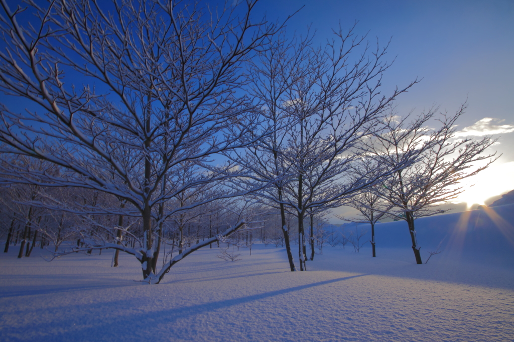 雪白の月 last