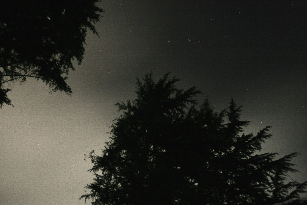 静寂が聴こえた時