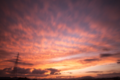 いつかの夕空に