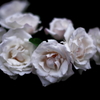 LA VIE EN ROSE  