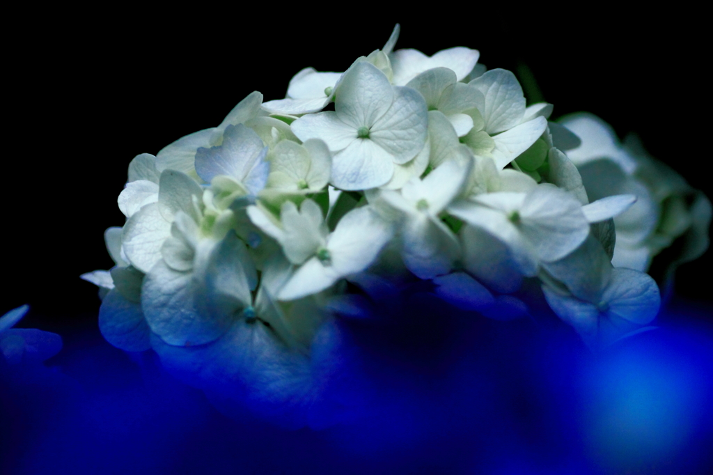 2013’ 涙花 vol.3