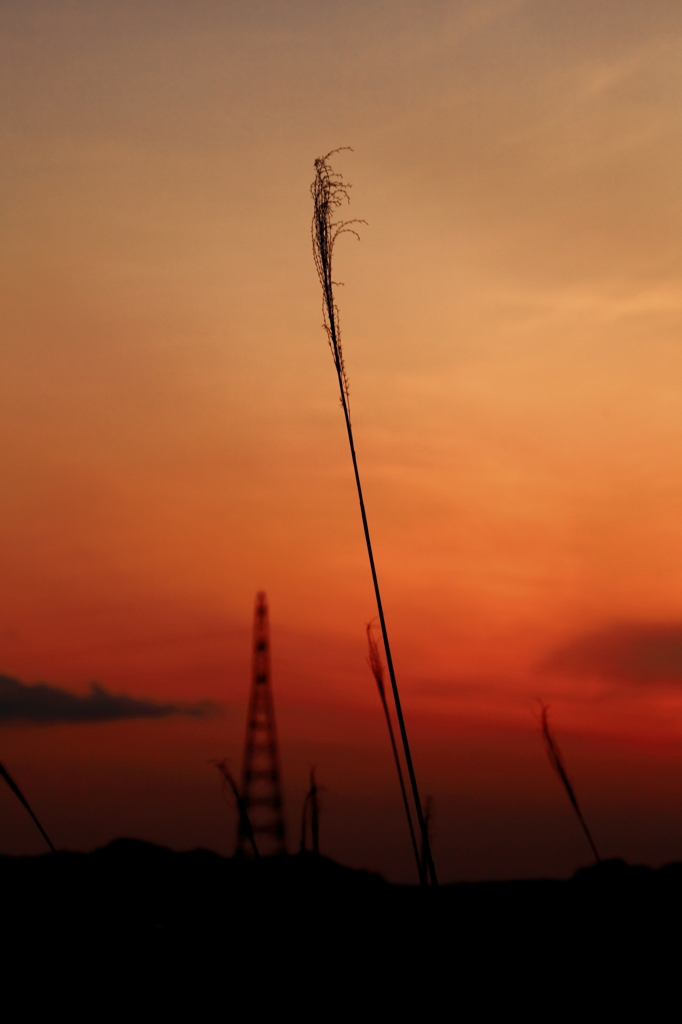 歌ってよ夕日の唄を last