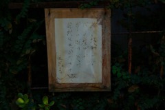 hikifune_leftbehind05