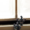 クロカビです。