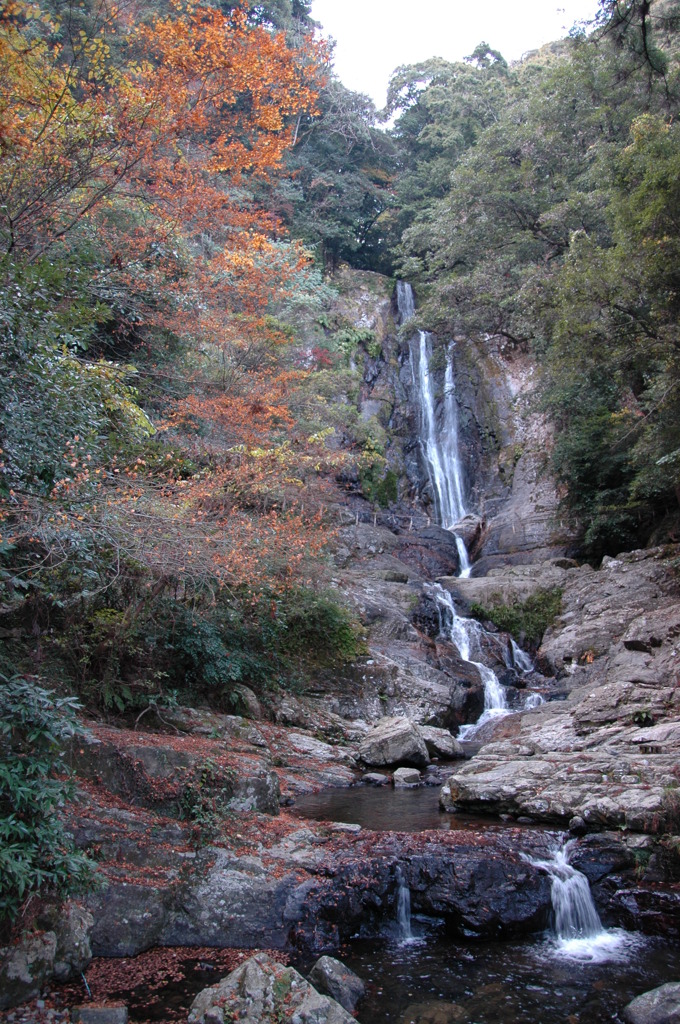紅葉　菅生の滝