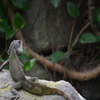 20110219 581
