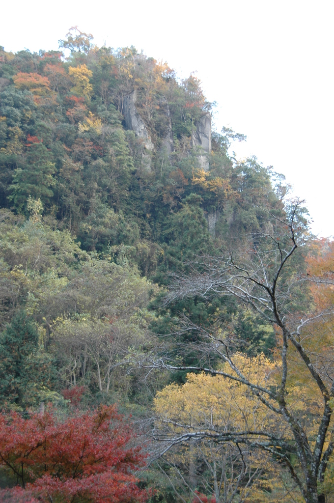 紅葉　深耶馬渓　３