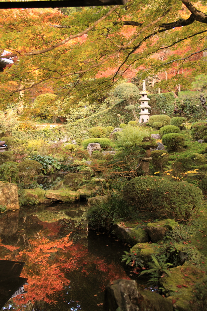 京都三千院＿庭園2