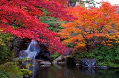 秋の庭園