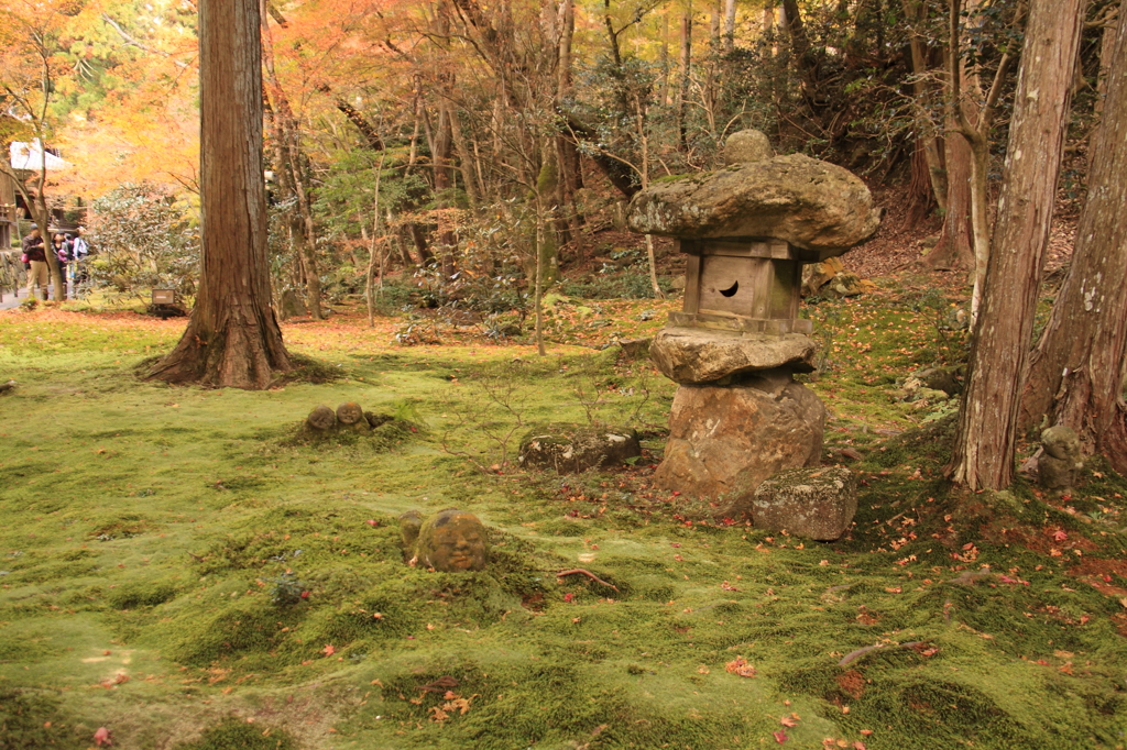 京都三千院＿庭園3