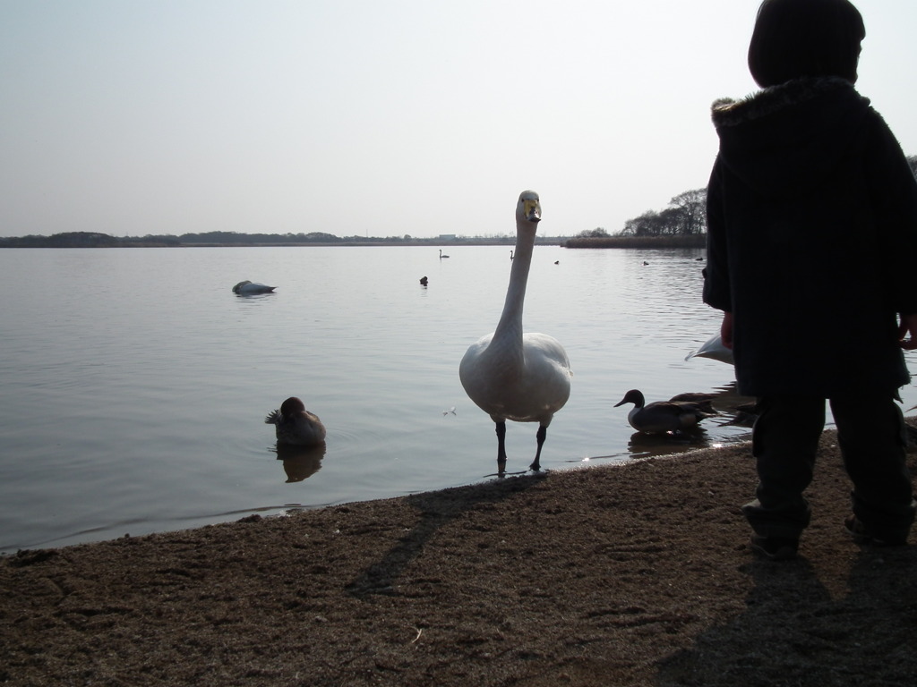 ふぁーすとこんたくと