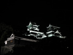 夜の熊本城　20101015