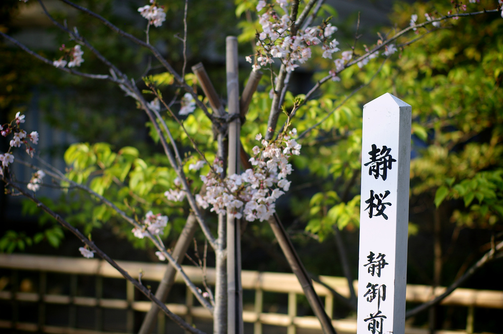 4486304797_f6294803c4_b