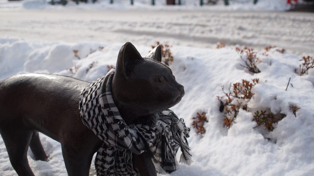 4451827974_402f291e0f_b