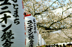 新年