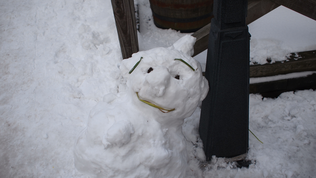 4451826250_3ca7c1b111_b