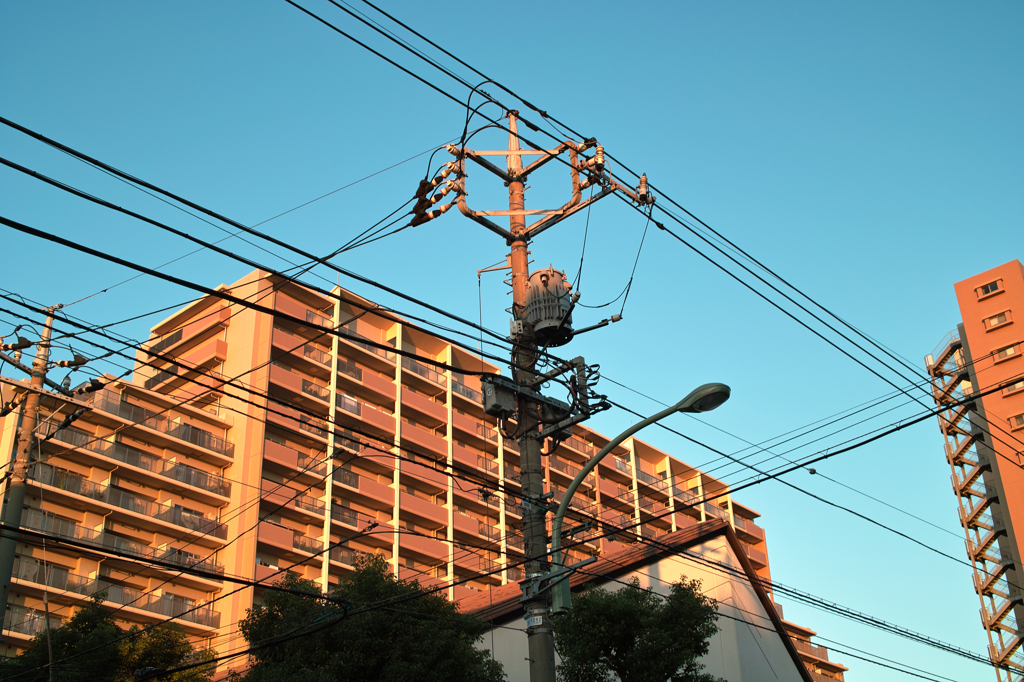 蒼空