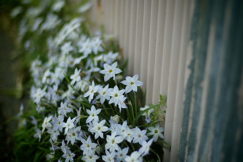 4486961684_3eaec7edcc_b