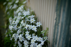 4486961684_3eaec7edcc_b