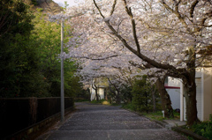 4486304997_a36d74a64f_b