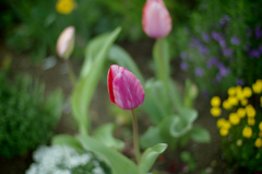 4486960168_af3d268e81_b