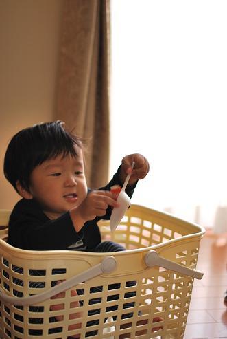 かご入り息子